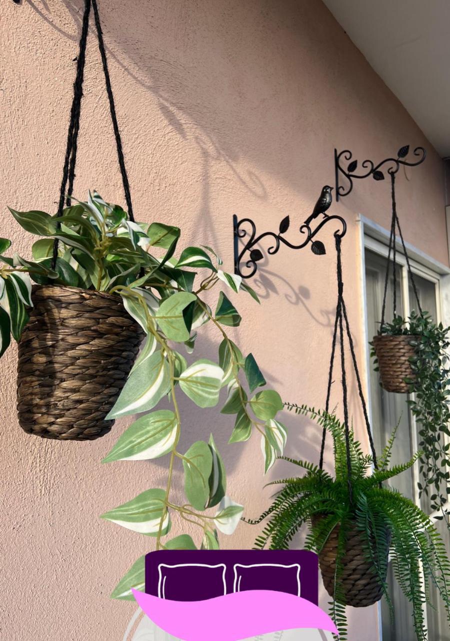 B&B Anastasia Pompeia Exterior foto